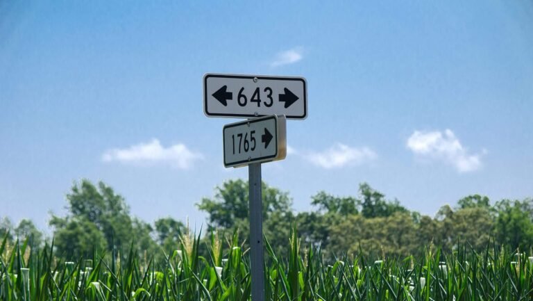 Rural Directions