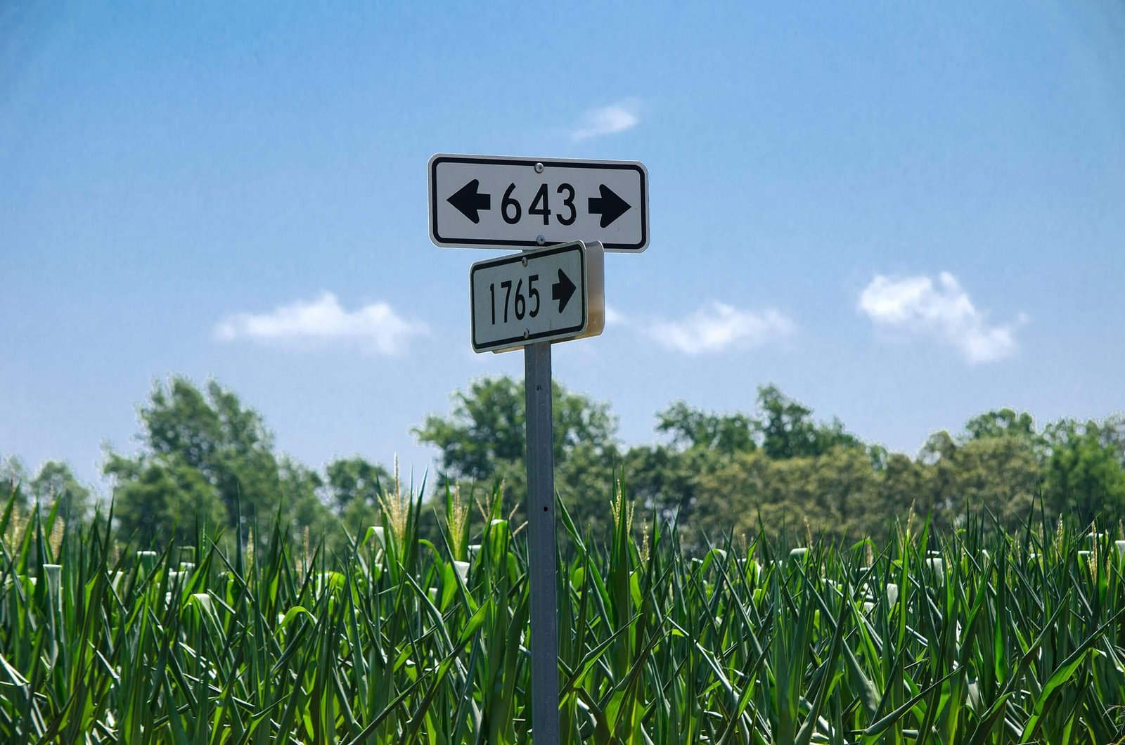 Rural Directions scaled