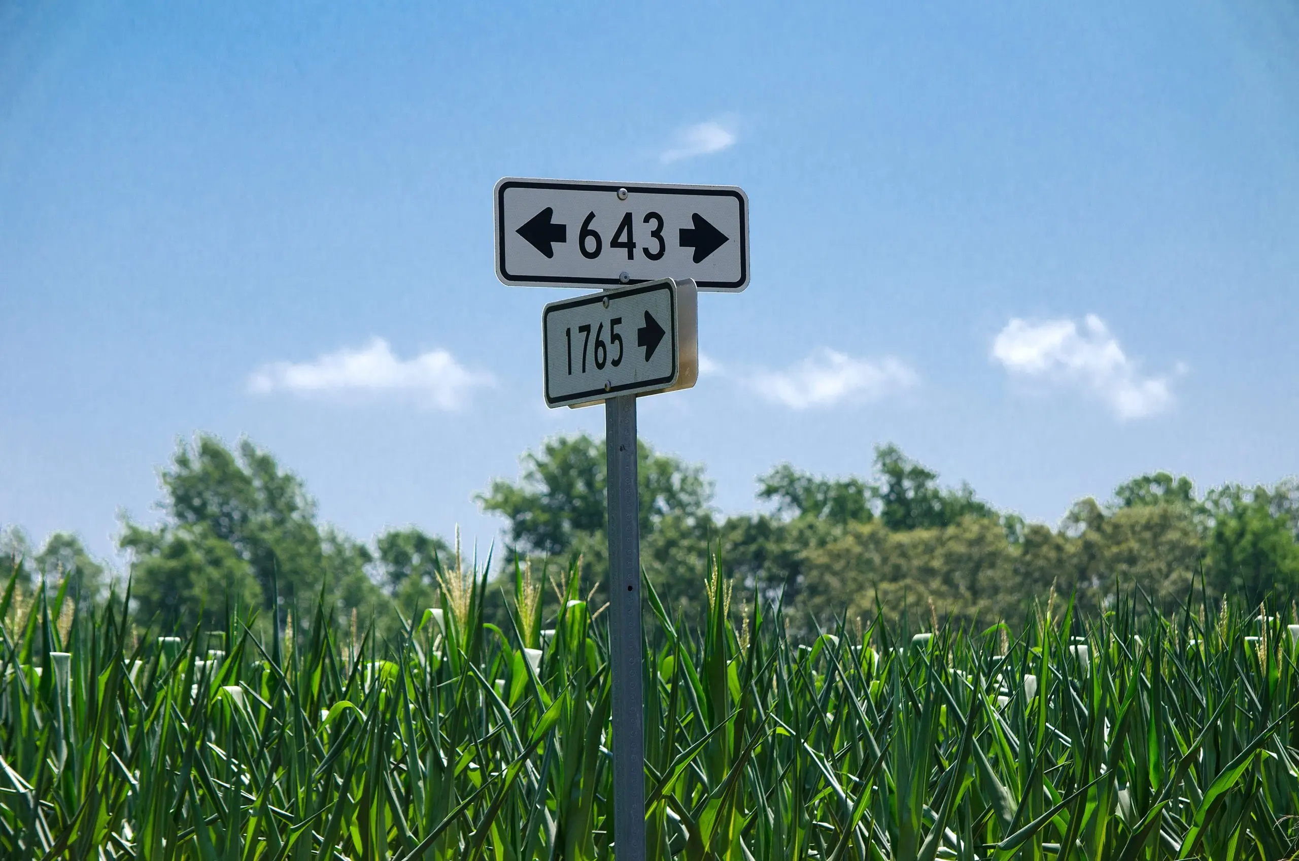 Rural Directions scaled